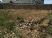 Satılır 14 sot torpaq Novxanı