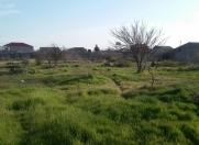 Satılır 50 sot torpaq Albalı