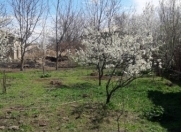 Satılır 6 sot torpaq Naxçıvan