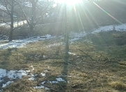 Satılır 10 sot torpaq Qusar