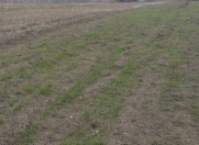 Satılır 150 sot torpaq Sumqayıt