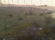 Satılır 6 sot torpaq Buzovna