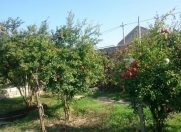 Satılır 15 sot torpaq Buzovna