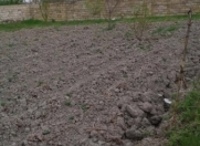 Satılır 14 sot torpaq Xaçmaz