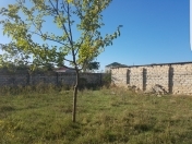 Satılır 2 otaqlı 600 m2 bağ evi Novxanı