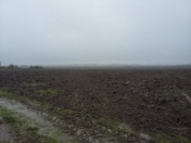 Satılır 10000 sot torpaq Xaçmaz