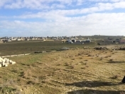 Satılır 25.5 sot torpaq Sumqayıt