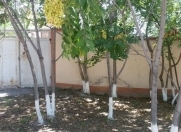 Satılır 10 sot torpaq Naxçıvan