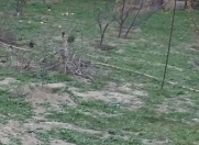 Satılır 3 sot torpaq Sumqayıt