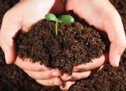 Satılır 8 sot torpaq Sumqayıt