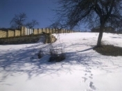 Satılır 6 sot torpaq Quba