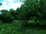 Satılır 18 sot torpaq İsmayıllı