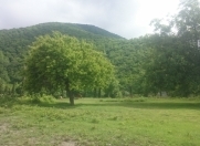 Satılır 4 sot torpaq Qax