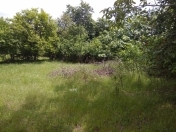 Satılır 8 sot torpaq Tovuz