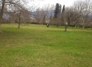 Satılır 42 sot torpaq İsmayıllı