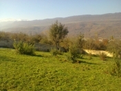 Satılır 24 sot torpaq Quba