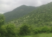 Satılır 60 sot torpaq Oğuz