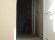 İcarəyə verilir 4 otaqlı 100 m2 həyət evi İnşaatçılar m.