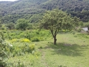 Satılır 50 sot torpaq Quba