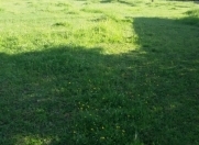 Satılır 10 sot torpaq İsmayıllı