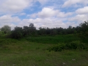 Satılır 1 sot torpaq Xaçmaz