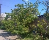 Satılır 6 sot torpaq Buzovna