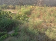 Satılır 10 sot torpaq Buzovna