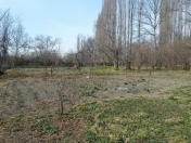 Satılır 24 sot torpaq İsmayıllı