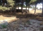Satılır 27 sot torpaq Buzovna