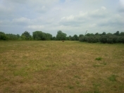 Satılır 340 sot torpaq Lənkəran