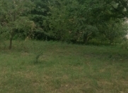 Satılır 6 sot torpaq Quba