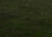 Satılır 3 sot torpaq Zabrat 2