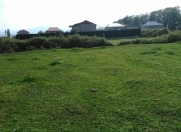 Satılır 27 sot torpaq Lənkəran