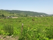 Satılır 12 sot torpaq Quba