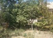 Satılır 8 sot torpaq Naxçıvan