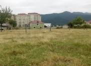 Satılır 3.3 sot torpaq Zaqatala