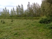 Satılır 100 sot torpaq Oğuz