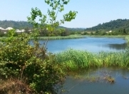 Satılır 280 sot torpaq Lənkəran