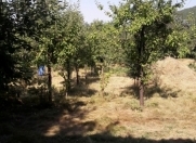 Satılır 8 sot torpaq Oğuz