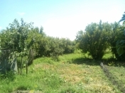 Satılır 45 sot torpaq Cəlilabad