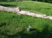 Satılır 17 sot torpaq İsmayıllı