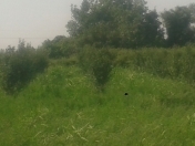 Satılır 10 sot torpaq Quba