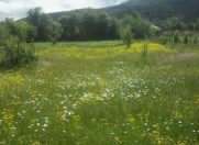 Satılır 10 sot torpaq Quba