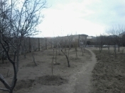 Satılır 1 otaqlı 50 m2 bağ evi Pirşağı