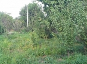 Satılır 16 sot torpaq Xaçmaz