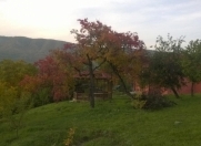 Satılır 6 sot torpaq Quba