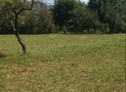 Satılır 40 sot torpaq Quba