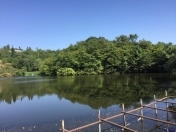 Satılır 10000 sot torpaq İsmayıllı