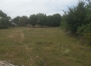 Satılır 20 sot torpaq Quba