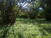 Satılır 15000 sot torpaq Xaçmaz